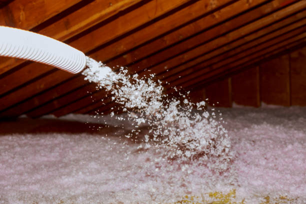Best Geographic-Specific Insulation Services in Asbury Lake, FL