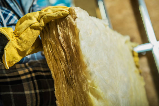 Best DIY Insulation Kits and Guidance in Asbury Lake, FL