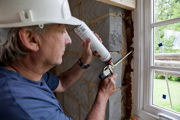 Best Insulation Maintenance and Repair in Asbury Lake, FL