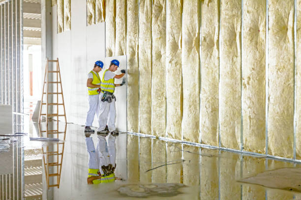Best Cellulose Insulation in Asbury Lake, FL